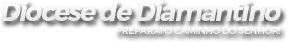 Diocese de Diamantino