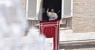 ANSA1225420_Articolo